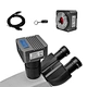 C Mount USB3.0 CMOS Microscope Camera